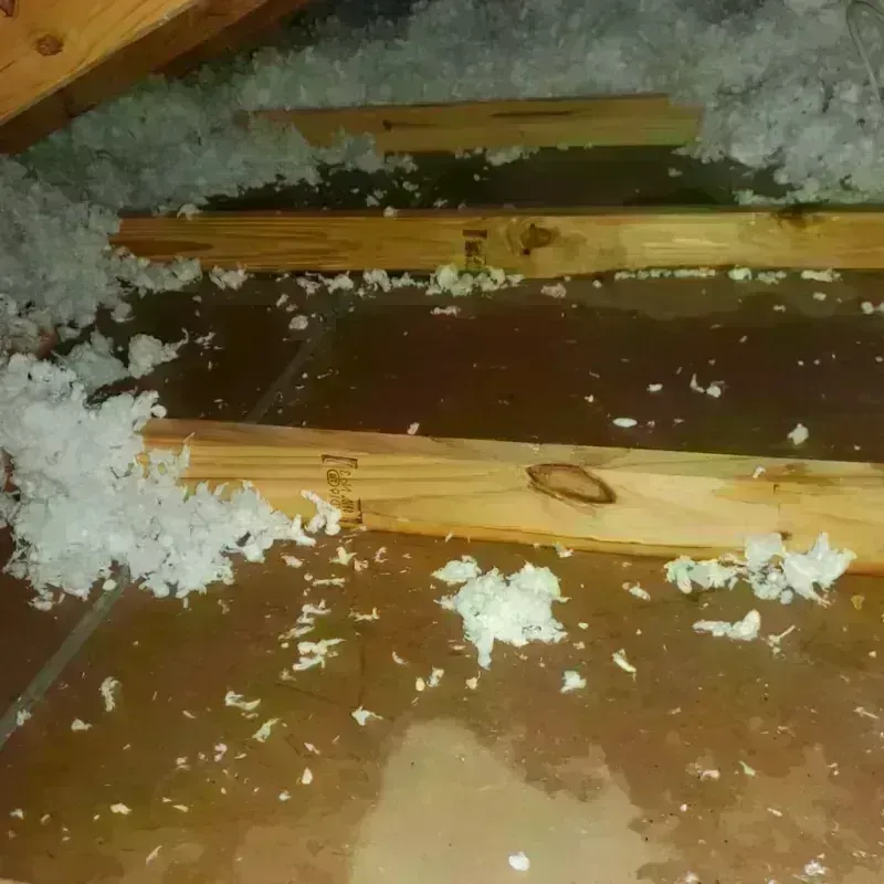 Attic Water Damage in Ellis County, OK