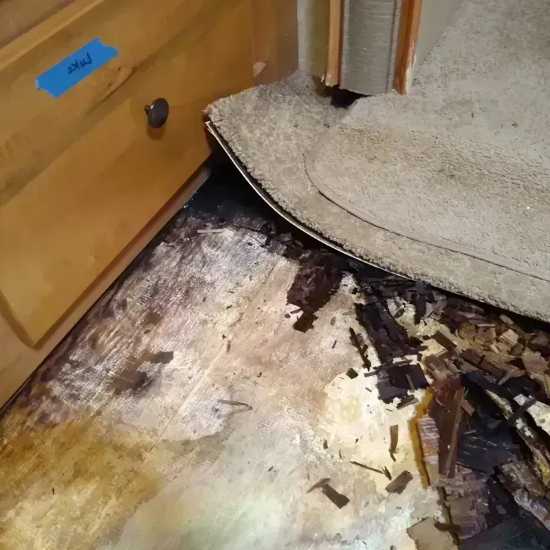 Wood Floor Water Damage in Ellis County, OK